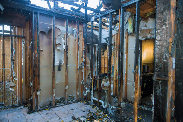 Professional Fire Damage Restoration technician working in Laveen, AZ